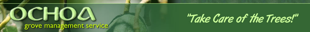 Ochoa Grove Management Service
